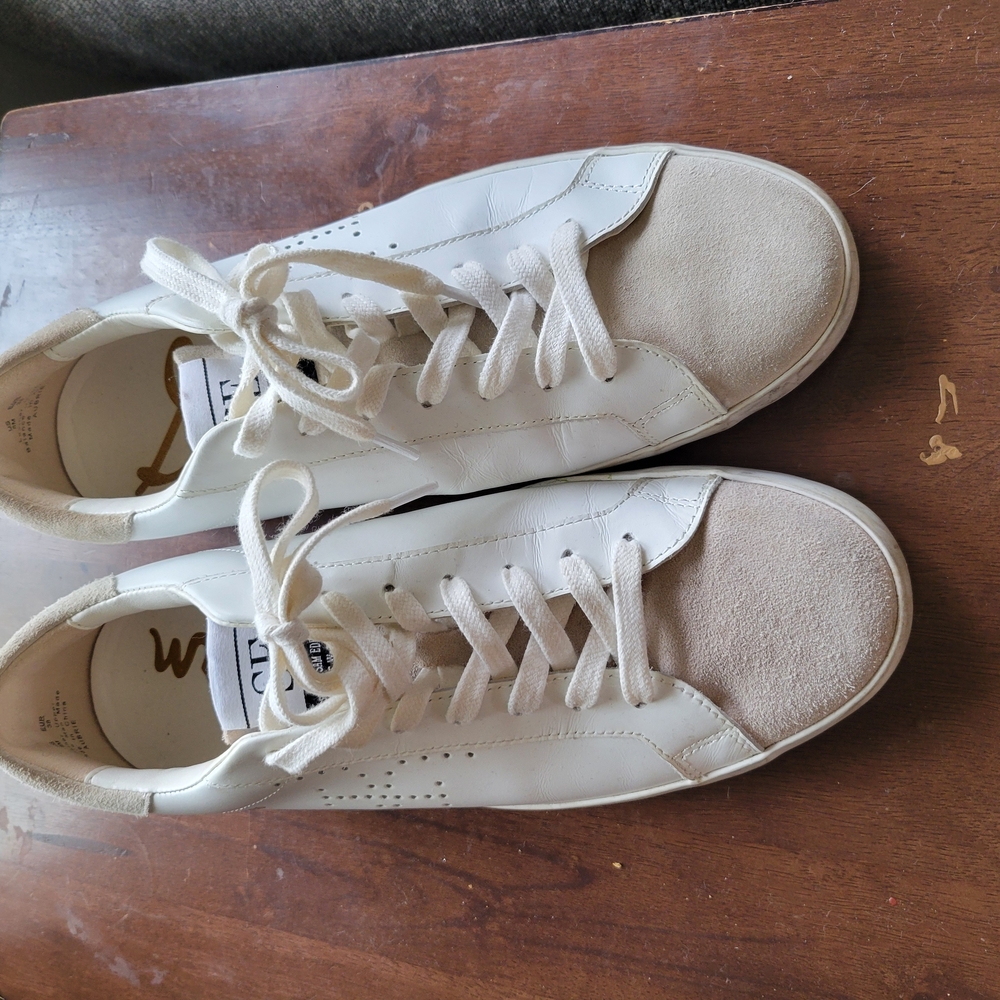 Basic SAM EDELMAN White Leather Sneakers